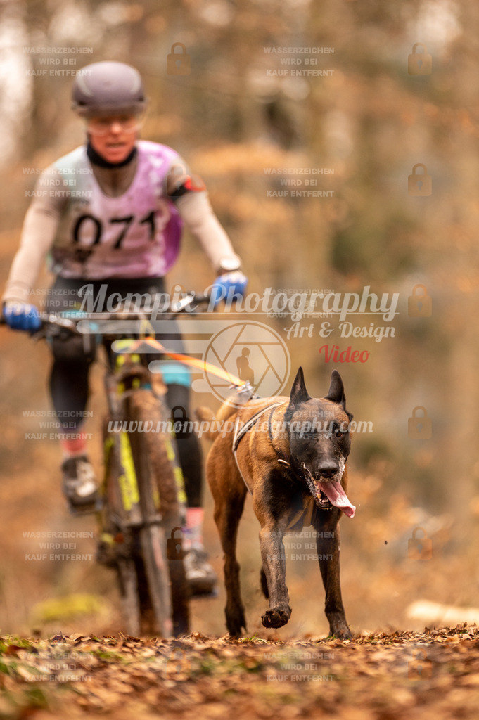 AKM_ST_2023_SAM_Bike-58 | PayLife