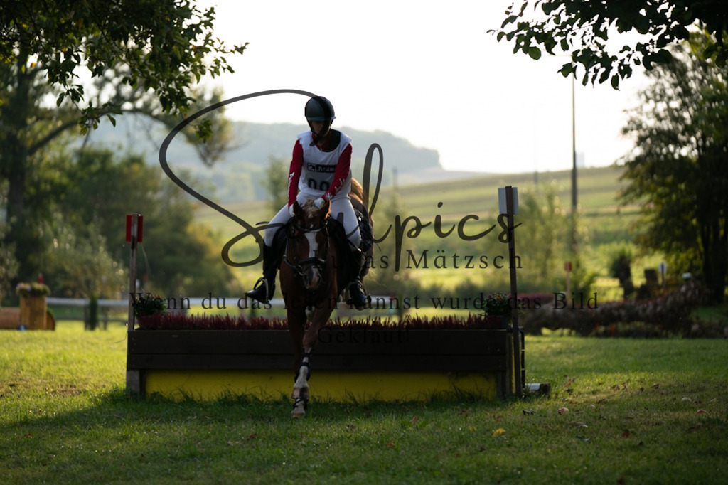 A7V02875 | Pferdefotograf