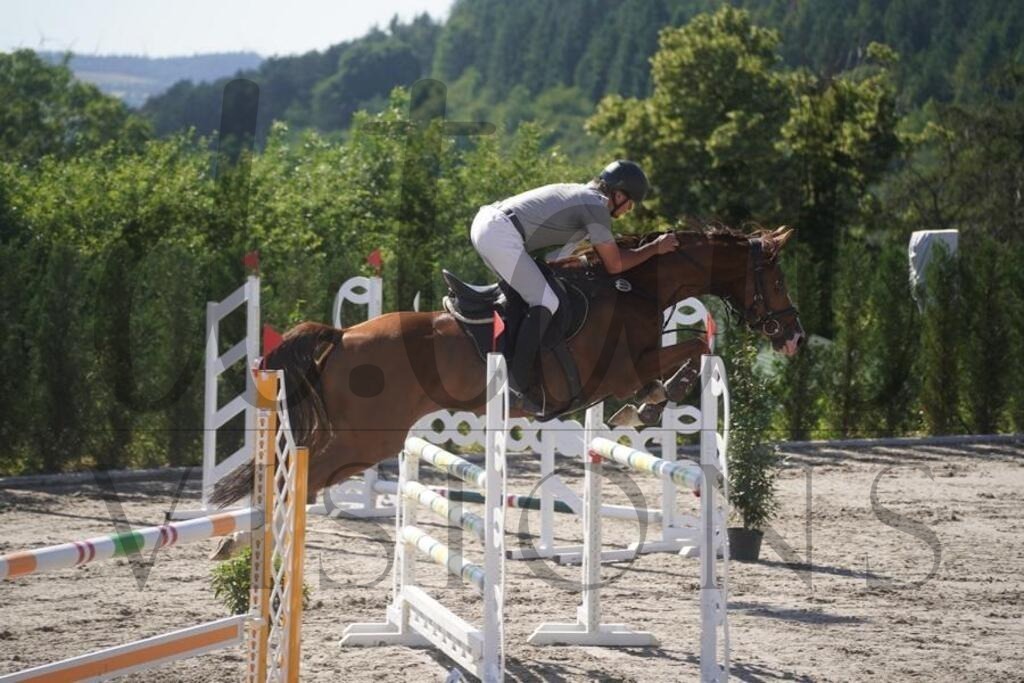 bietzensamstag (1001) | d.tail Visions - Shop - Realisiert mit Pictrs.com