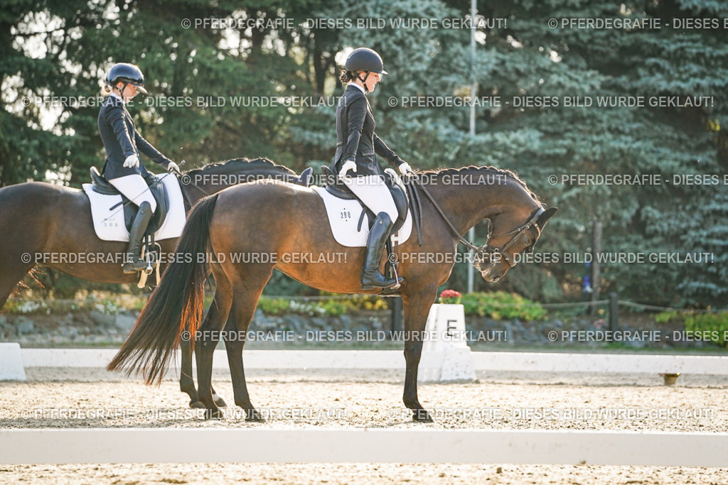 DSC08147 | Pferdegrafie