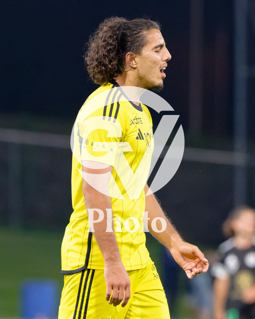dieci Challenge League - FC Stade Nyonnais v FC Wil 1900 |  during the dieci Challenge League match between FC Stade Nyonnais and FC Wil 1900 at Centre sportif de Colovray in Nyon, Switzerland