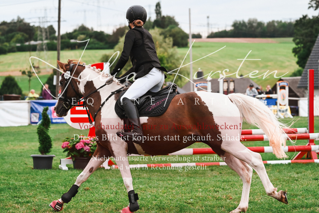 DSC_6257 | Pferde- und Turnierfotografie in Westsachsen. Pferdeportraits, Auftragszeichnungen und intuitive Kunst.