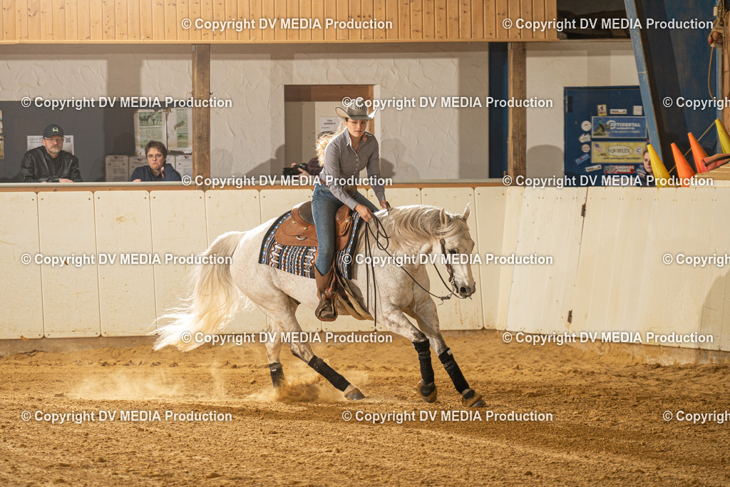 MIT00477 | dv-media-shop - Realisiert mit Pictrs.com