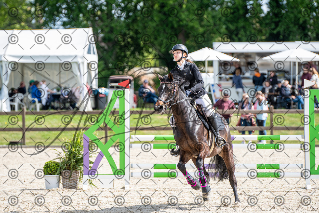 KPT_4957 | andre_photographic