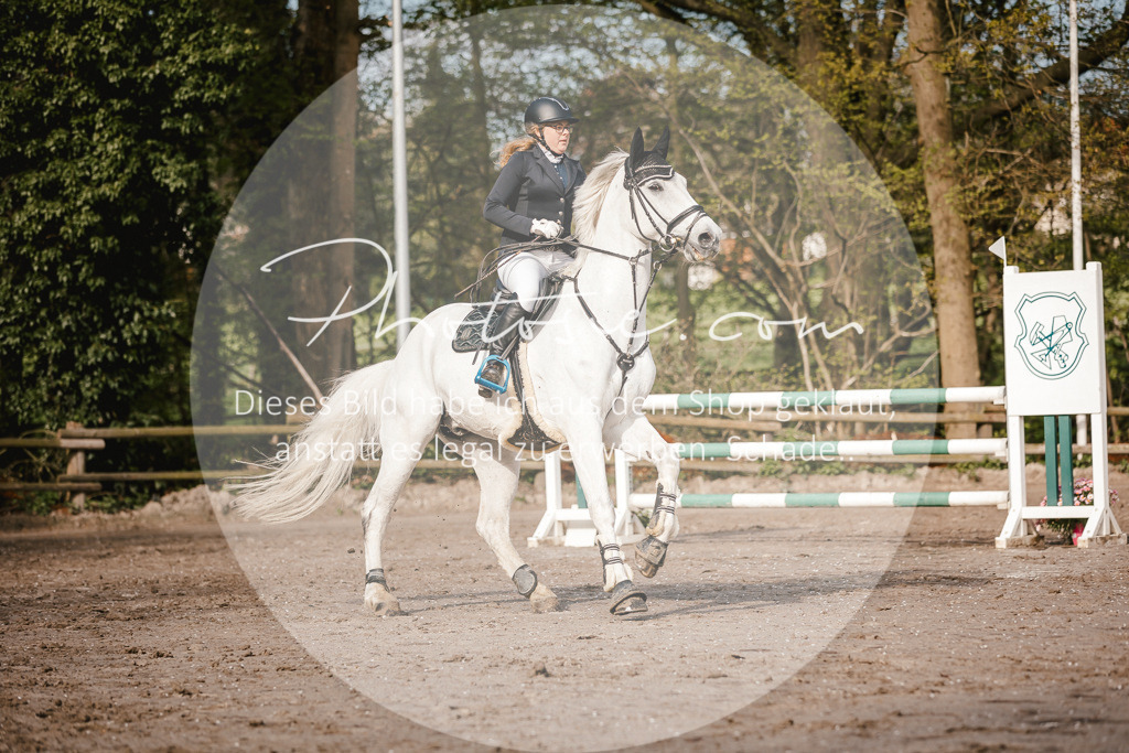 3I6A3474 | Stimmungsvolle Portraits und Reitsportfotografie im Ruhrgebiet und im Münsterland.

Pferdefotografie, Hundefotografie, Tierfotografie, Reportagen, Portraits von Tier und Mensch, Turnierfotografie in Bochum, Recklinghausen, Marl, Haltern am See, Dülmen.. - Realisiert mit Pictrs.com
