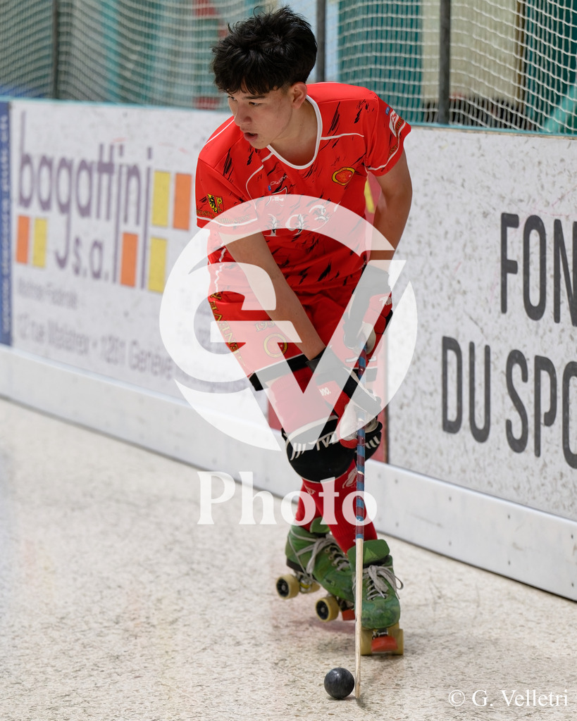 DSC_6042 | Velletri Photo