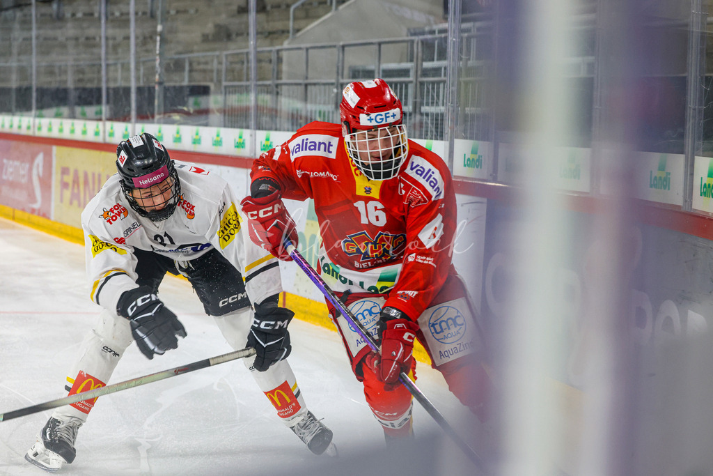 701A3149 | Sportbilder, Sportfotograf, Hochzeits- und Eventfotografin, Flugshows, Portraits und Tiershooting, Aviation, Downhill, Nationalleague, Swissleague, International