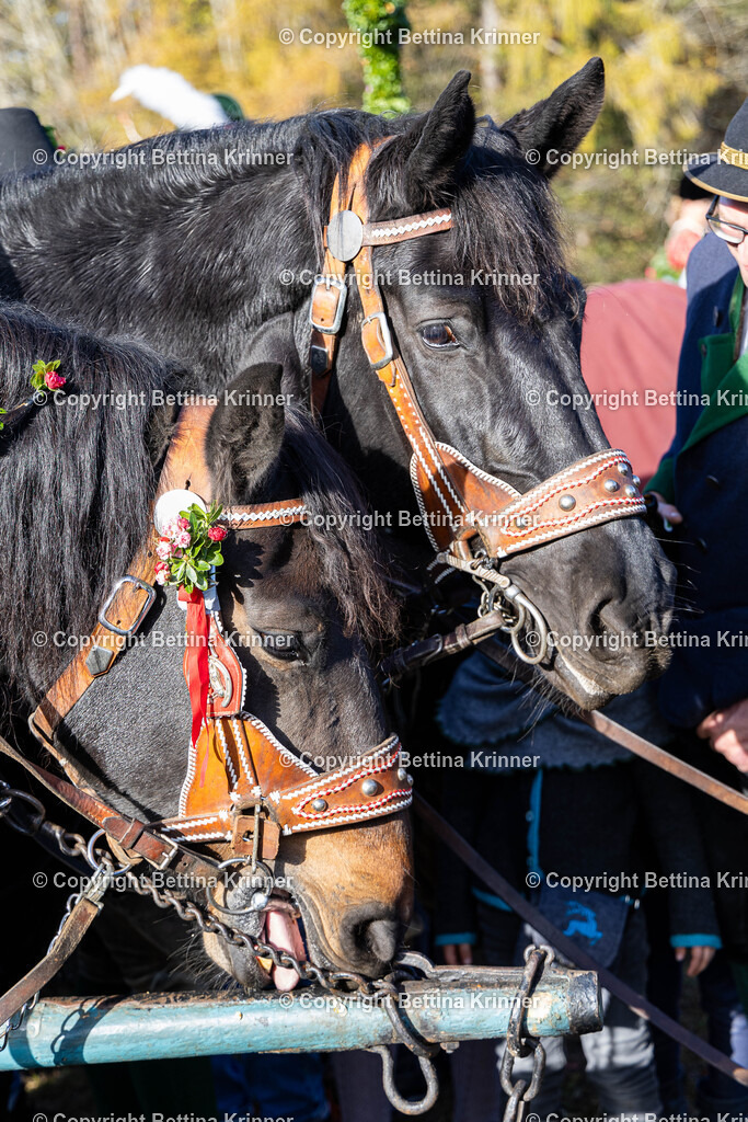 LBT24-1066 | foto-bettina-krinner - Realisiert mit Pictrs.com