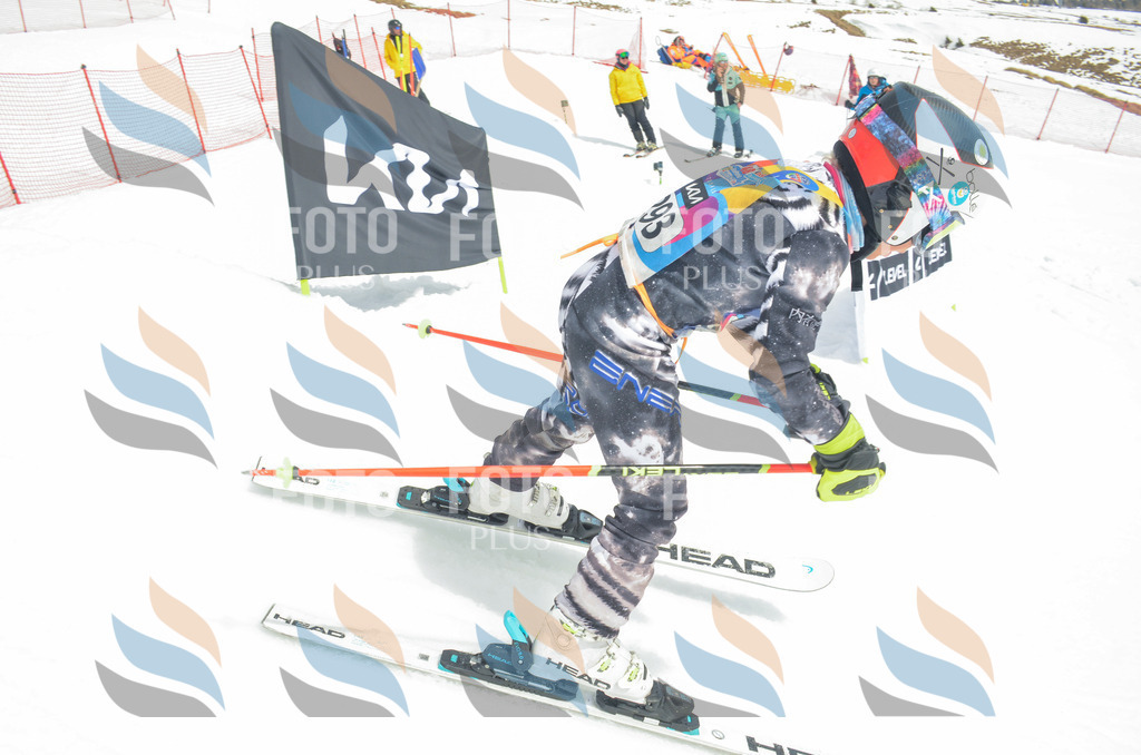 _ELE8137 | holidayphoto