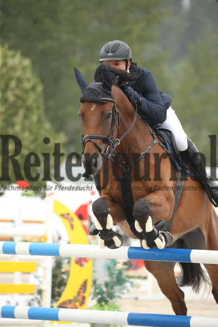 Villingendorf_2022_Prfg.Nr.08_zwei Phasen_Springprfg.Kl.M_Youngster_Ralf Hönig_Askaban RH (3) | Alle Fotos der Reiterjournal Fotografin Doris Matthaes im Reiterjournal Online-Fotoshop. - Realisiert mit Pictrs.com
