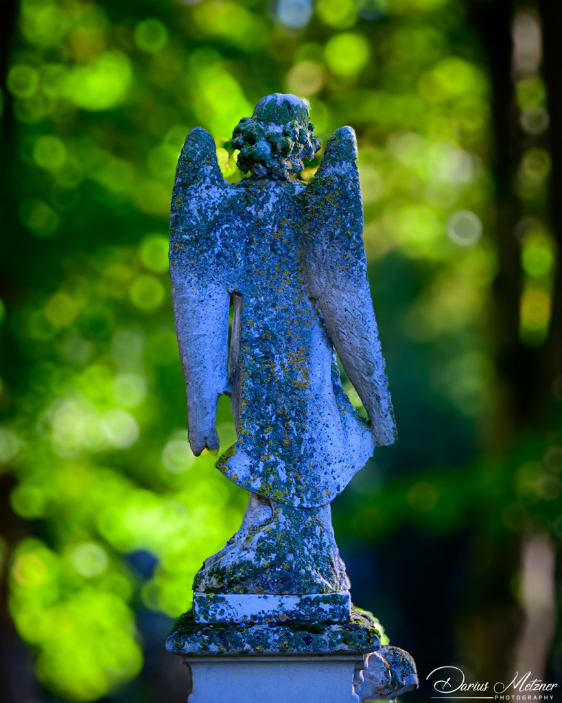 Der alte Hauptfriedhof in Mainz | Der alte Hauptfriedhof in Mainz
