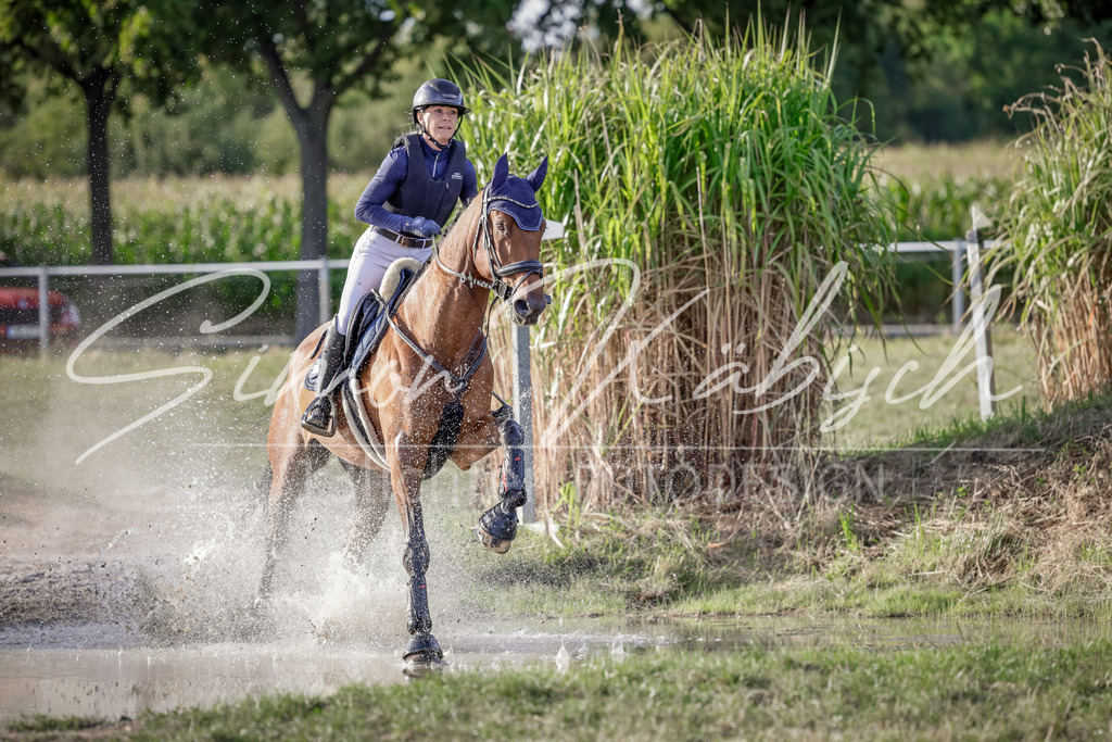 20250906-_3LI7787 | Tierfotografie Pferde, Hunde, Katzen, Haustiere.
Turnierfotografie Reitturniere, Reiten, Springreiten, Dressur in Hanau, dem Main-Kinzig-Kreis und dem Rhein-Main- Gebiet um Frankfurt
