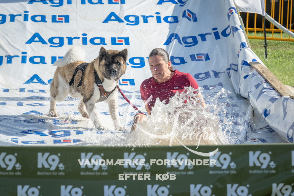 0954_ZZ97375 | kk-dogfotos