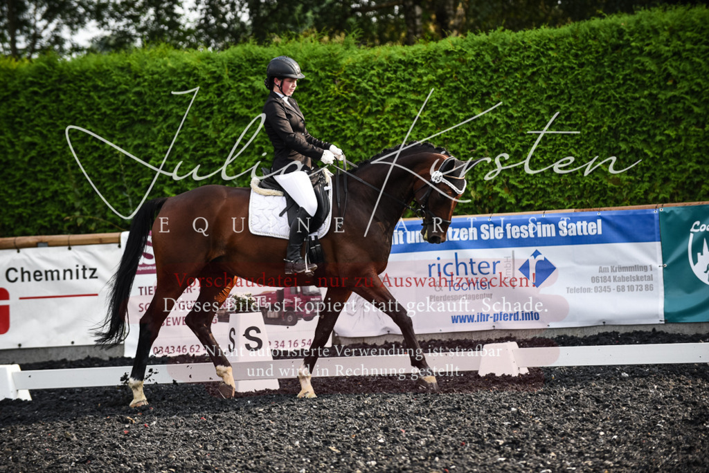 DSC_3338 | Pferde- und Turnierfotografie in Westsachsen. Pferdeportraits, Auftragszeichnungen und intuitive Kunst.