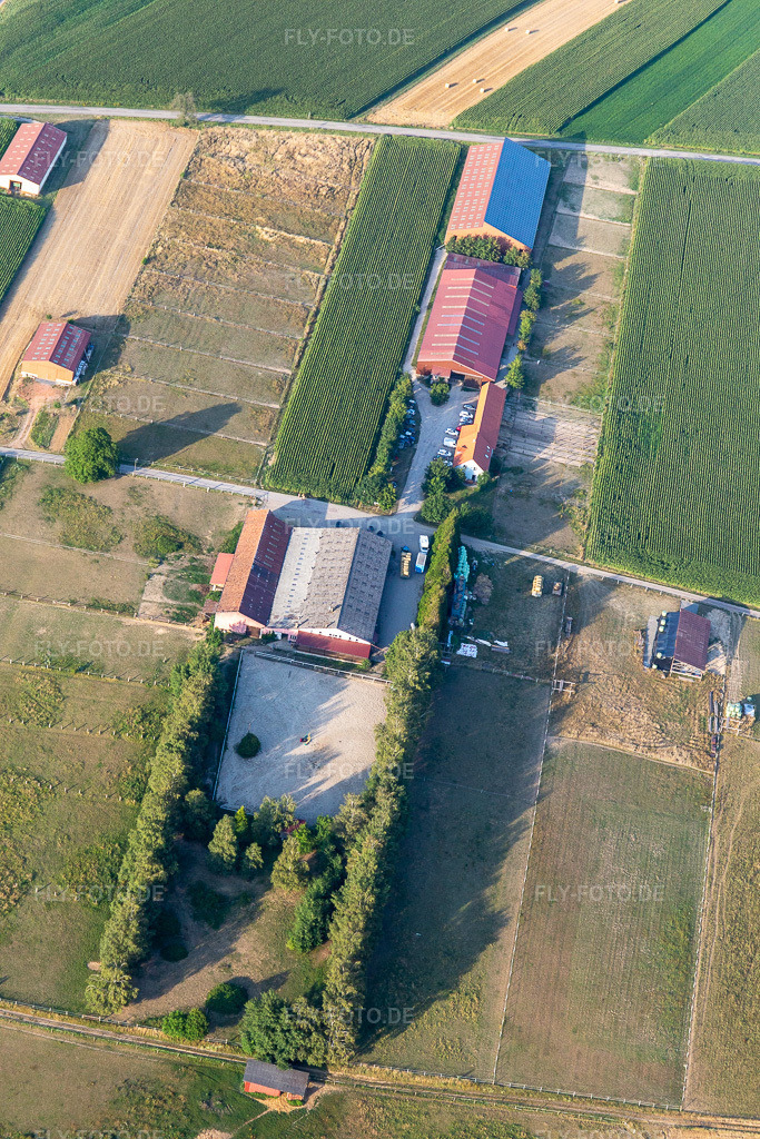 Luftbild: Ranch in Seebach im Bundesland Bas-Rhin in Frankreich. Foto: IMG_121011.jpg vom 23.07.2020 durch Werner Riehm/FLY-FOTO.de