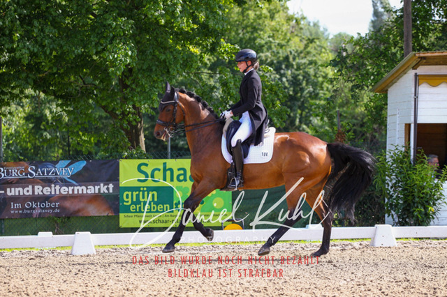DKP41399 | Deine Turnierfotos vom Reitturnier online kaufen: Dressur, Springen & Siegerehrung. Professionelle Pferdefotografie aus dem Rheinland – als Download & Print.Alternative: Turnierfotograf für den Pferdesport: Finde deine Fotos von Dressur- und Springturnier