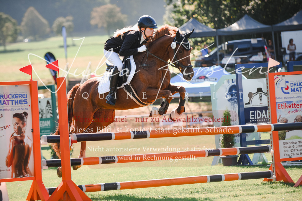 DSC_2452 | Pferde- und Turnierfotografie in Westsachsen. Pferdeportraits, Auftragszeichnungen und intuitive Kunst.
