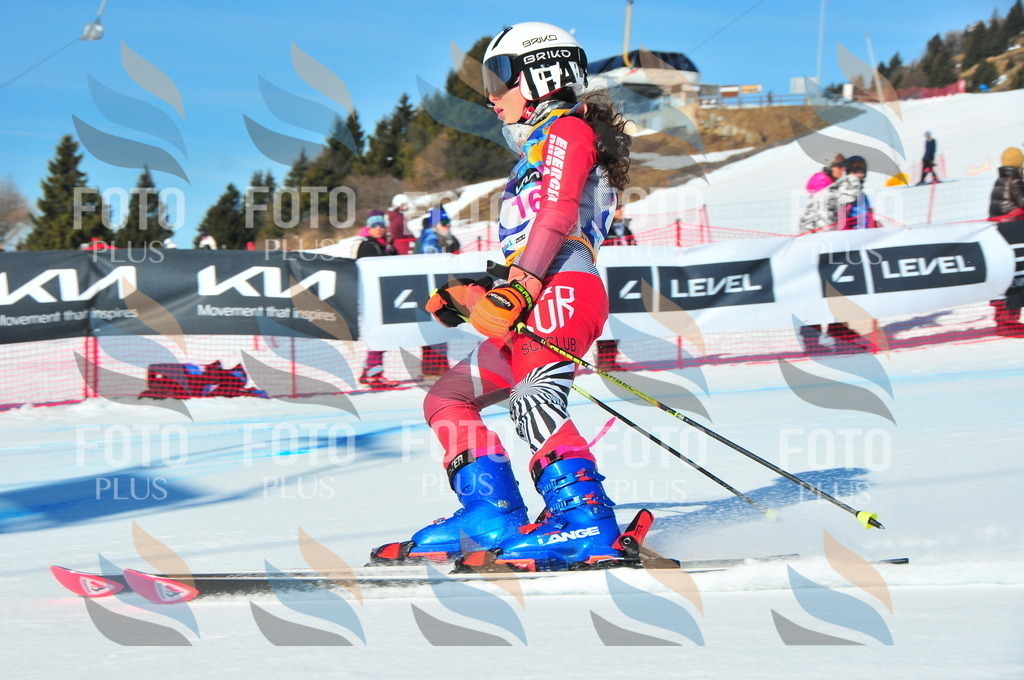 DSC_3815 | holidayphoto