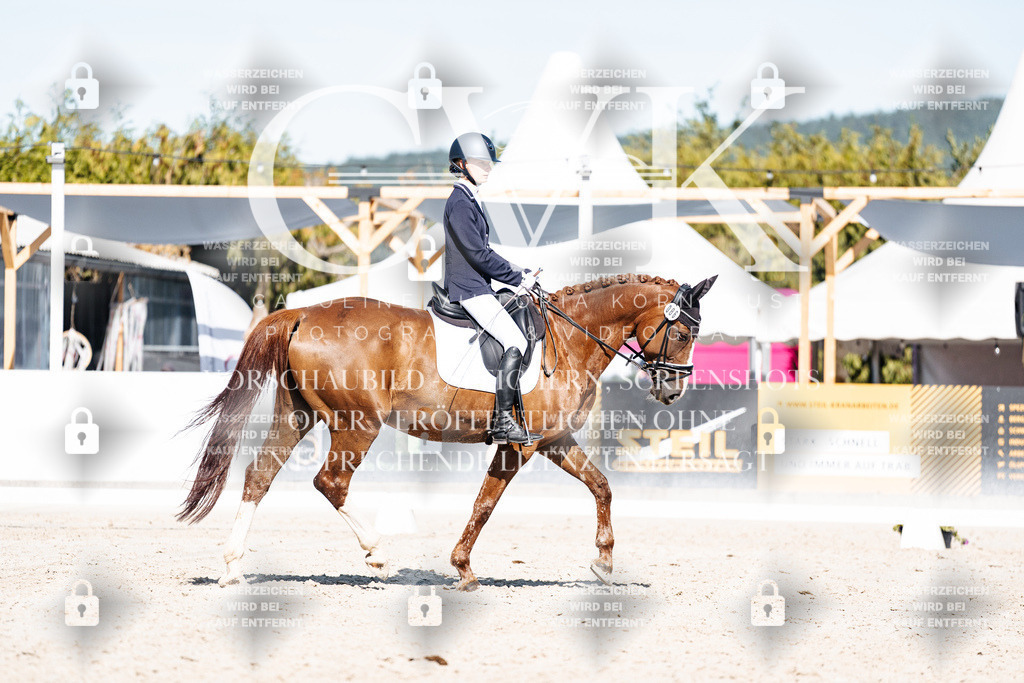 CK908375 | Turnierfotografie Pferdefotografie Trier Rheinland-Pfalz Pferdesport Reitsport Tierfotografie Sportfotografie Pferdevideo Pferdevideografie Equestrianvideography equestrianphotography  - Realisiert mit Pictrs.com