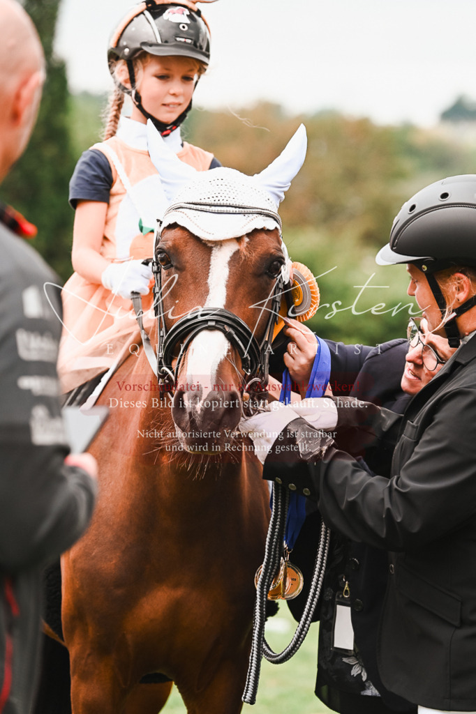 DSC_7482 | Pferde- und Turnierfotografie in Westsachsen. Pferdeportraits, Auftragszeichnungen und intuitive Kunst.