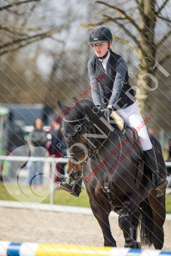 IMG_4371 | Sport-, Event- und Tierfotos in Profiqualität. Einfach auswählen, bestellen und herunterladen. Dein Moment – perfekt festgehalten.