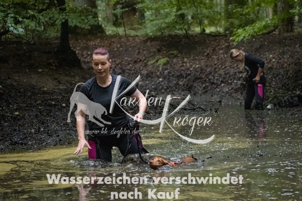 0920_ZZ90305-Bearbeitet | kk-dogfotos