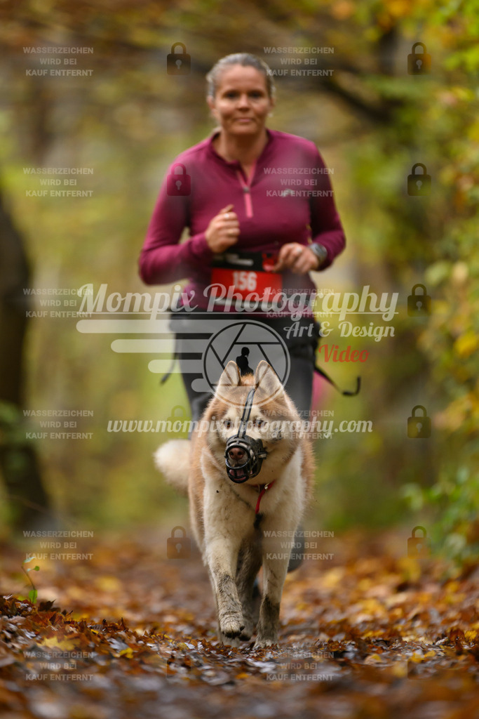 MompixPhotography_CD7S_DI_CCL-161 | mompixphotography