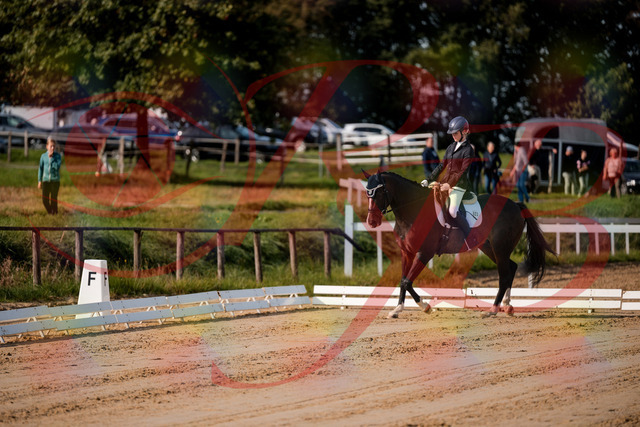 2026_10_03_Siefer-Hof_113246_Z63_19104166 | Professionelle Reitsport-, Turnier- und Eventfotografie von Robert Broda. Galerien mit ausgewählten und bearbeiteten Bildern direkt online ansehen und bestellen.