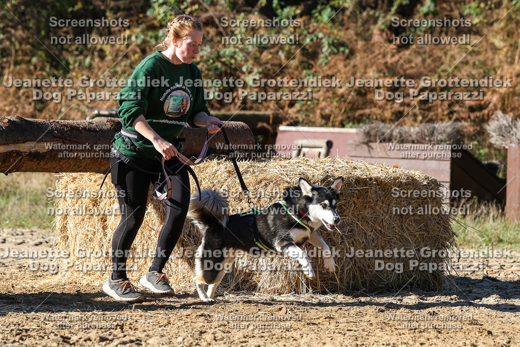 Dog Paparazzi - Strongdog 10-25-2682 | Dog Paparazzi Jeanette Grottendiek Fotografie & Videografie - Realisiert mit Pictrs.com