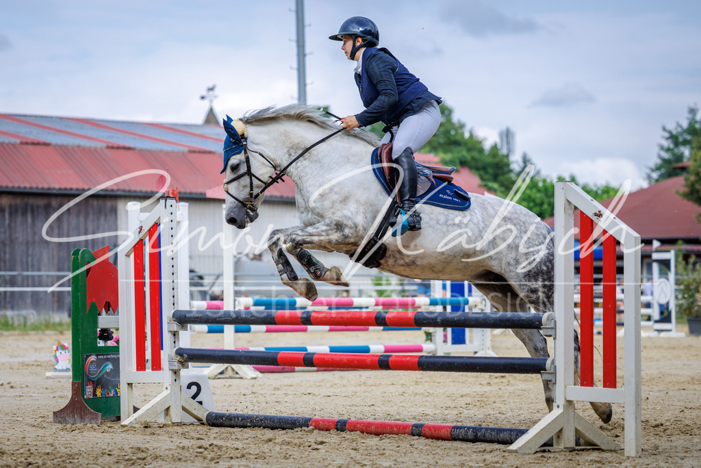 20260705-_3LI3856 | Tierfotografie Pferde, Hunde, Katzen, Haustiere.
Turnierfotografie Reitturniere, Reiten, Springreiten, Dressur in Hanau, dem Main-Kinzig-Kreis und dem Rhein-Main- Gebiet um Frankfurt