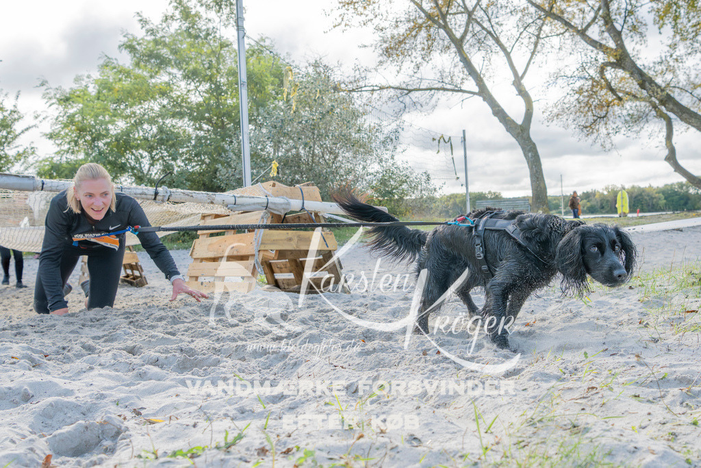 1244_ZZ93076 | kk-dogfotos