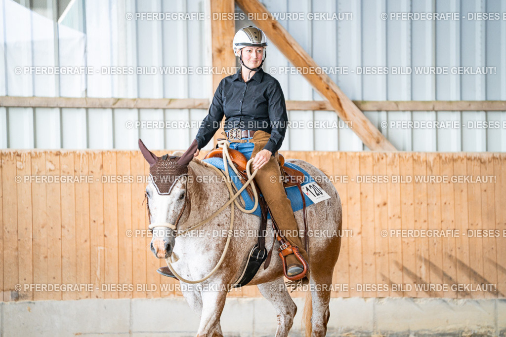 DSC08591 | Pferdegrafie