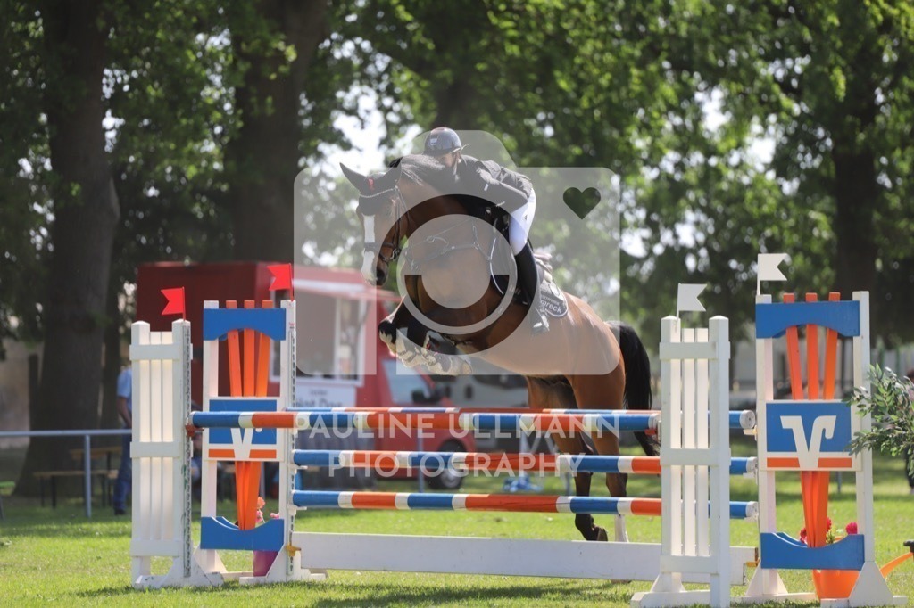 IMG_6435 | Pauline Ullmann Photography - Realisiert mit Pictrs.com