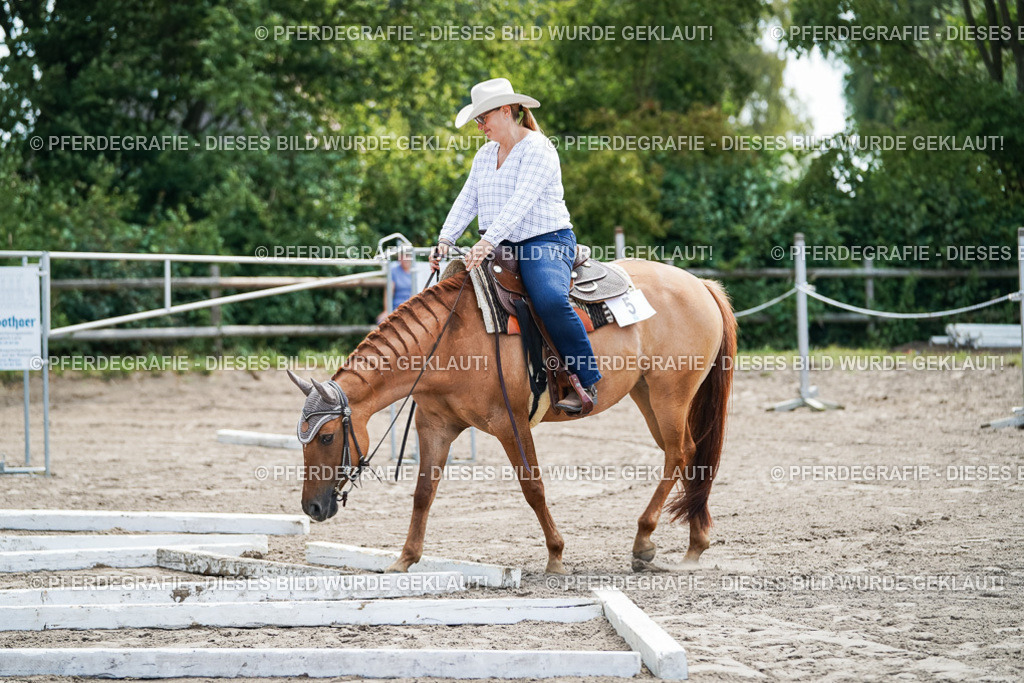 DSC05838 | Pferdegrafie