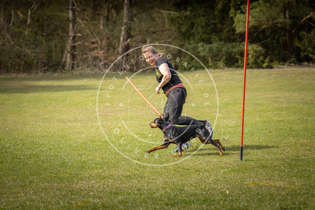 Pfotenfotografie_DV3A9946 | Hundefotografie, Tierfotograf, Pfotenfotografie, Fotoshooting Hund, Hunde Portrait, Hundesport, Hundeportraits, Heideshooting, Hunde, Sportfotograf, Hundefotograf, Turnierhundsport, THS,  - Realisiert mit Pictrs.com