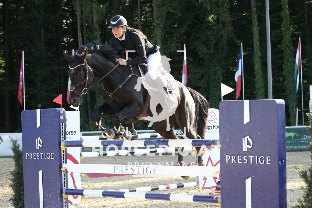 DL2Q5749 | Willkommen bei Brunnmayr - Design & Fotografie – Ihrem Spezialisten für Reitturniere und Pferdeveranstaltungen in Oberösterreich, Salzburg und Bayern! Seit über 17 Jahren sind wir leidenschaftlich dabei.