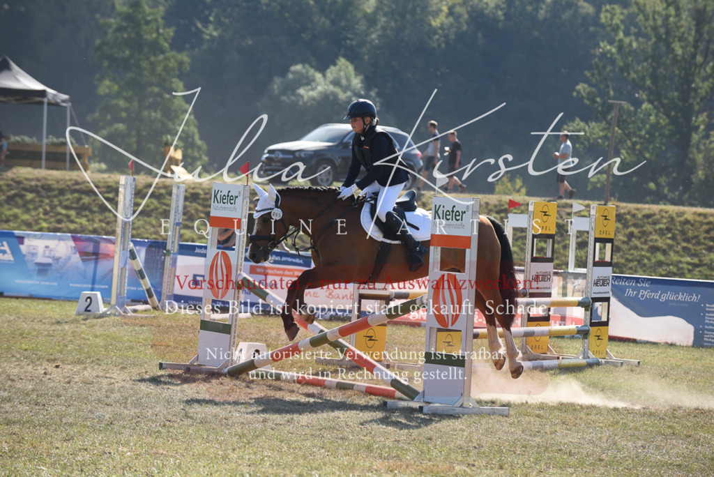 DSC_6026 | Pferde- und Turnierfotografie in Westsachsen. Pferdeportraits, Auftragszeichnungen und intuitive Kunst.