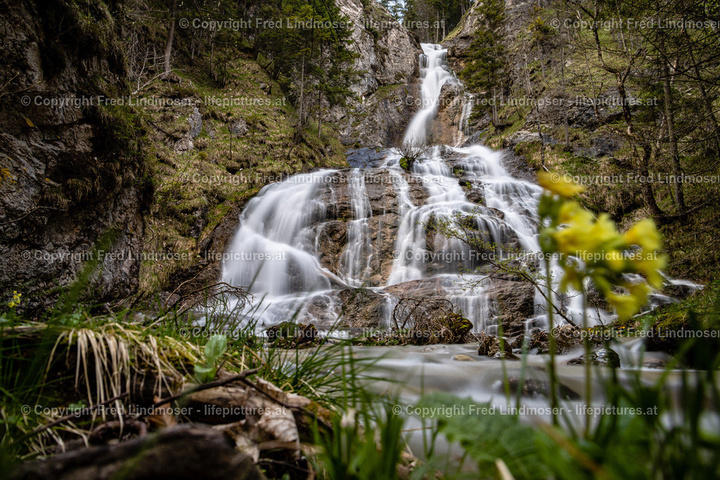 Otschergraben Schleierfall Mirafall -7185 | Fotos und Fotoprodukte - Realisiert mit Pictrs.com