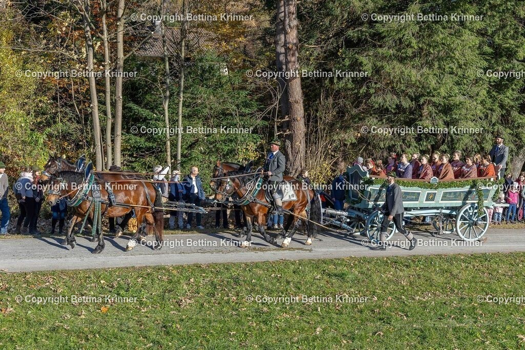 LBT25-319 | foto-bettina-krinner - Realisiert mit Pictrs.com