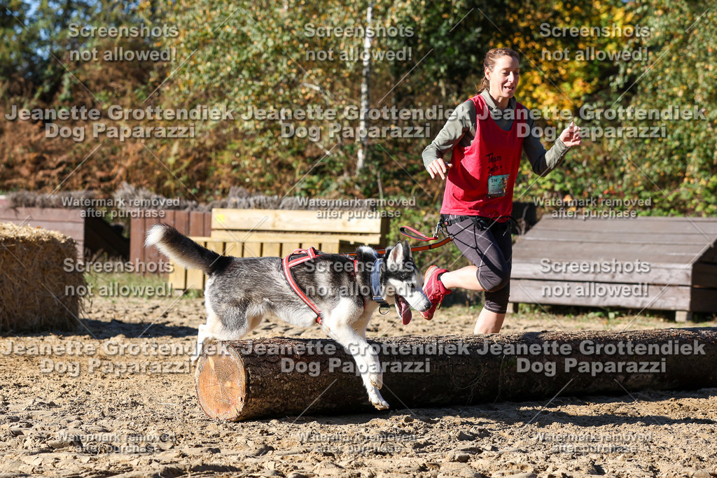 Dog Paparazzi - Strongdog 10-25-2617 | Dog Paparazzi Jeanette Grottendiek Fotografie & Videografie - Realisiert mit Pictrs.com