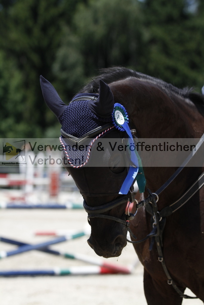 _MG_6926 | equestrian-live-com