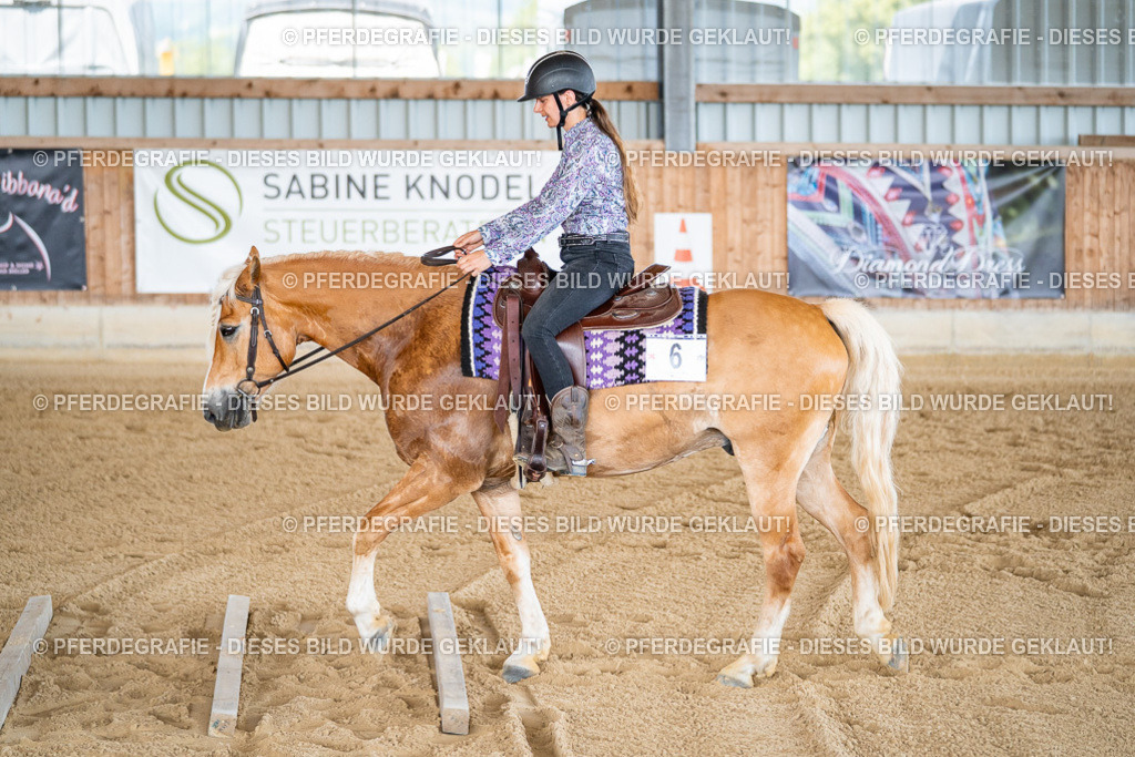 DSC02463 | Pferdegrafie