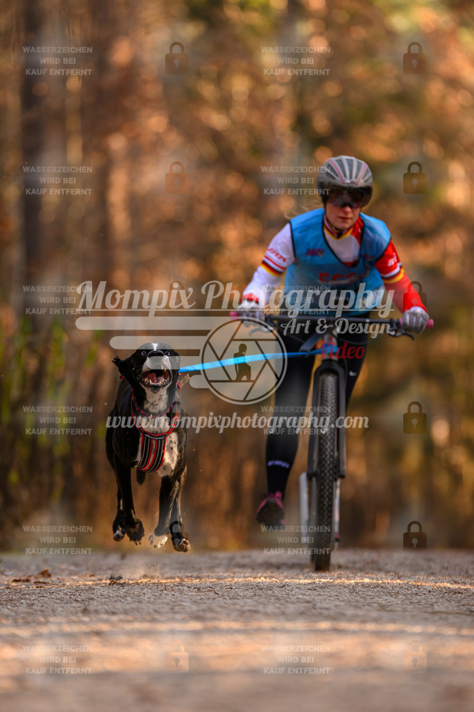 MompixPhotography_DM_AKDM_SO_2025_Scooter-108 | PayLife