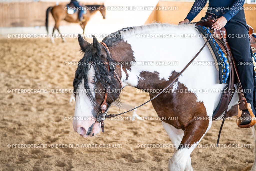 DSC09292 | Pferdegrafie