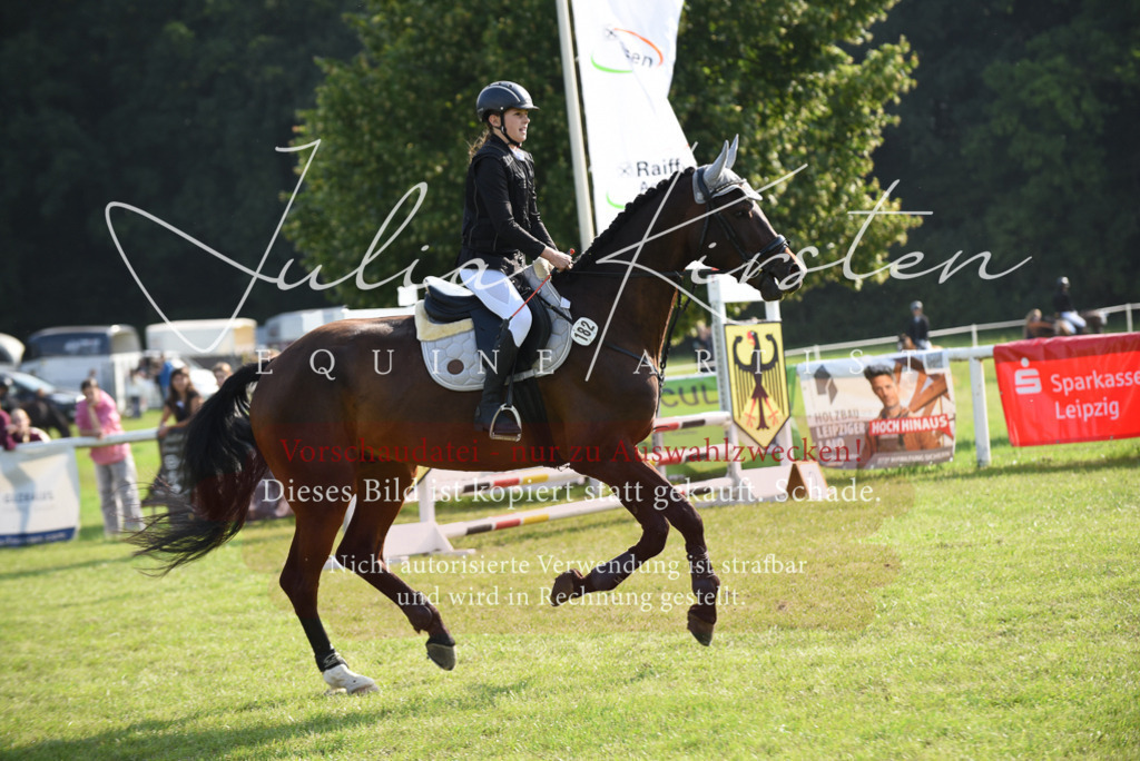 DSC_8665 | Pferde- und Turnierfotografie in Westsachsen. Pferdeportraits, Auftragszeichnungen und intuitive Kunst.