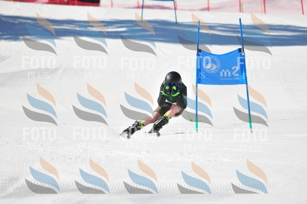 C3830 | holidayphoto