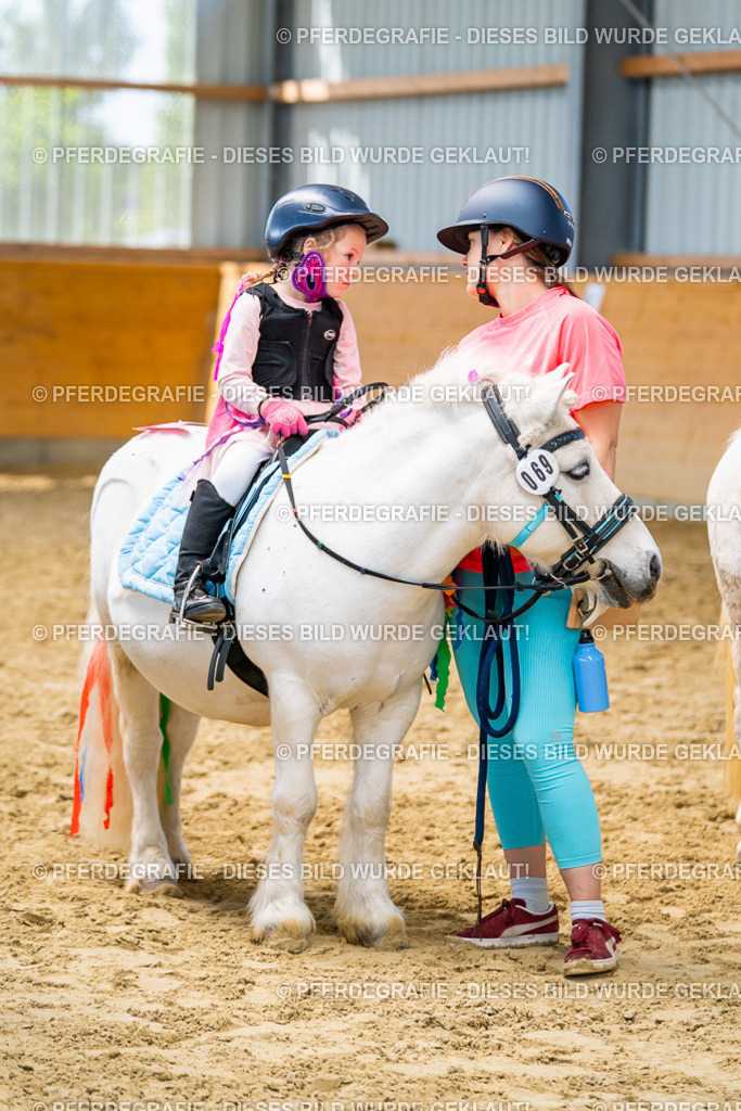 DSC00293 | Pferdegrafie