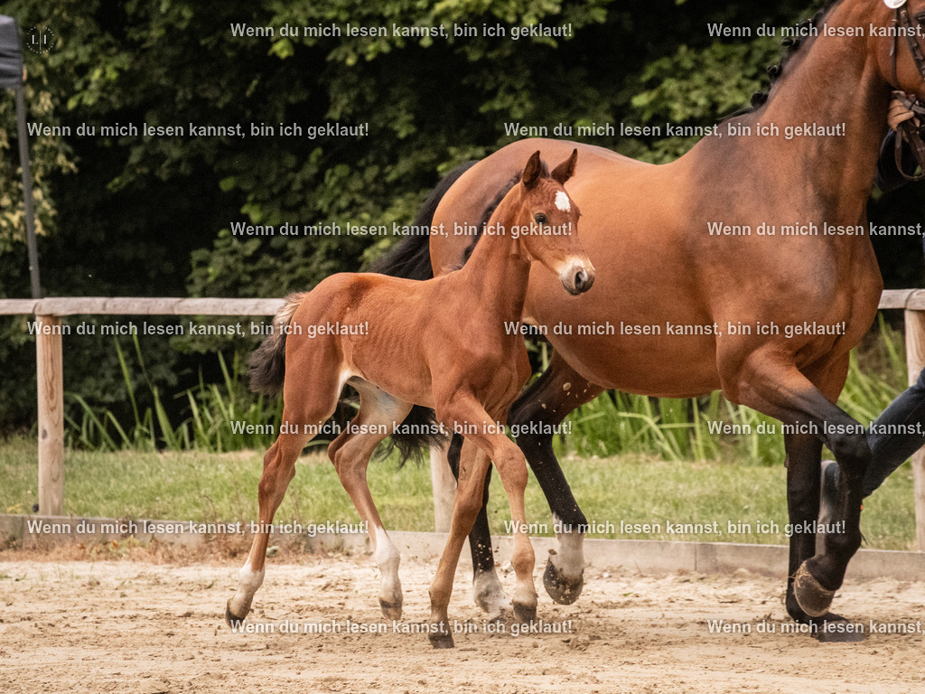 A10I3971 15.58.11 | photographylinaismer - Realisiert mit Pictrs.com