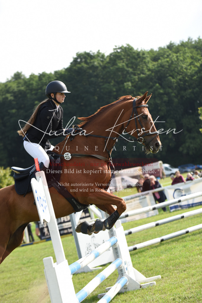 DSC_8771 | Pferde- und Turnierfotografie in Westsachsen. Pferdeportraits, Auftragszeichnungen und intuitive Kunst.