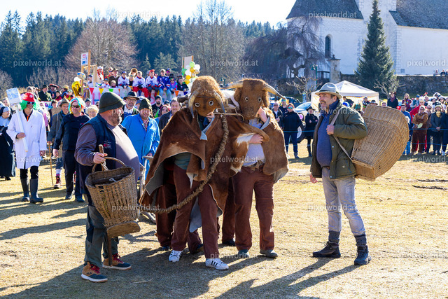 Bärentreiben in Steuerberg | Bildershop von pixelworld.at - Realisiert mit Pictrs.com